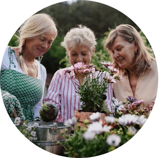 Drei Damen bei Projekt im Garten